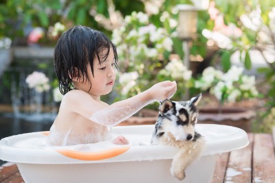 does bathing a dog reduce dander